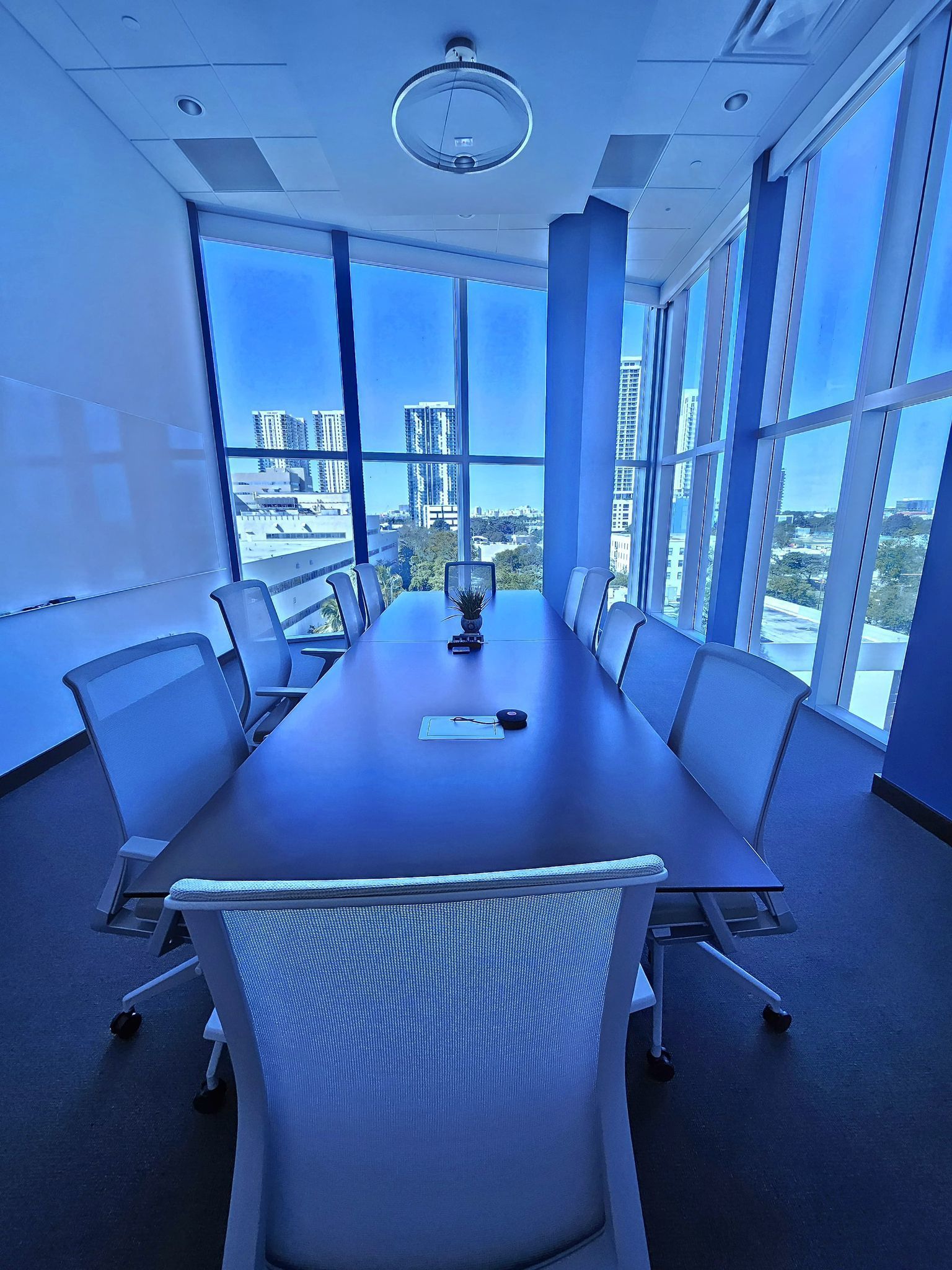 Interior Conference Room (10-12 People)