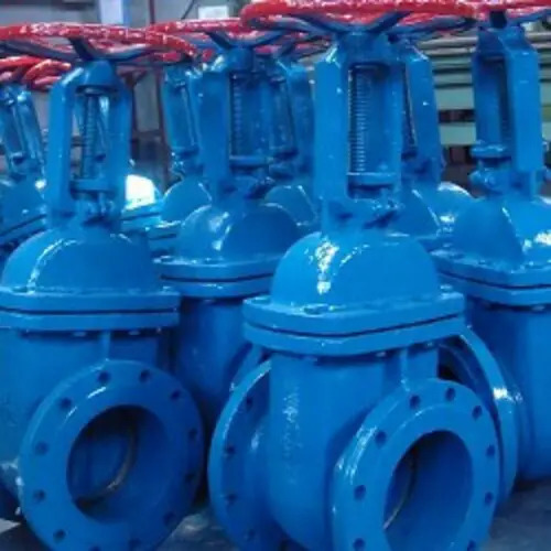 Rising Stem Gate Valve Manufacturer in USA 