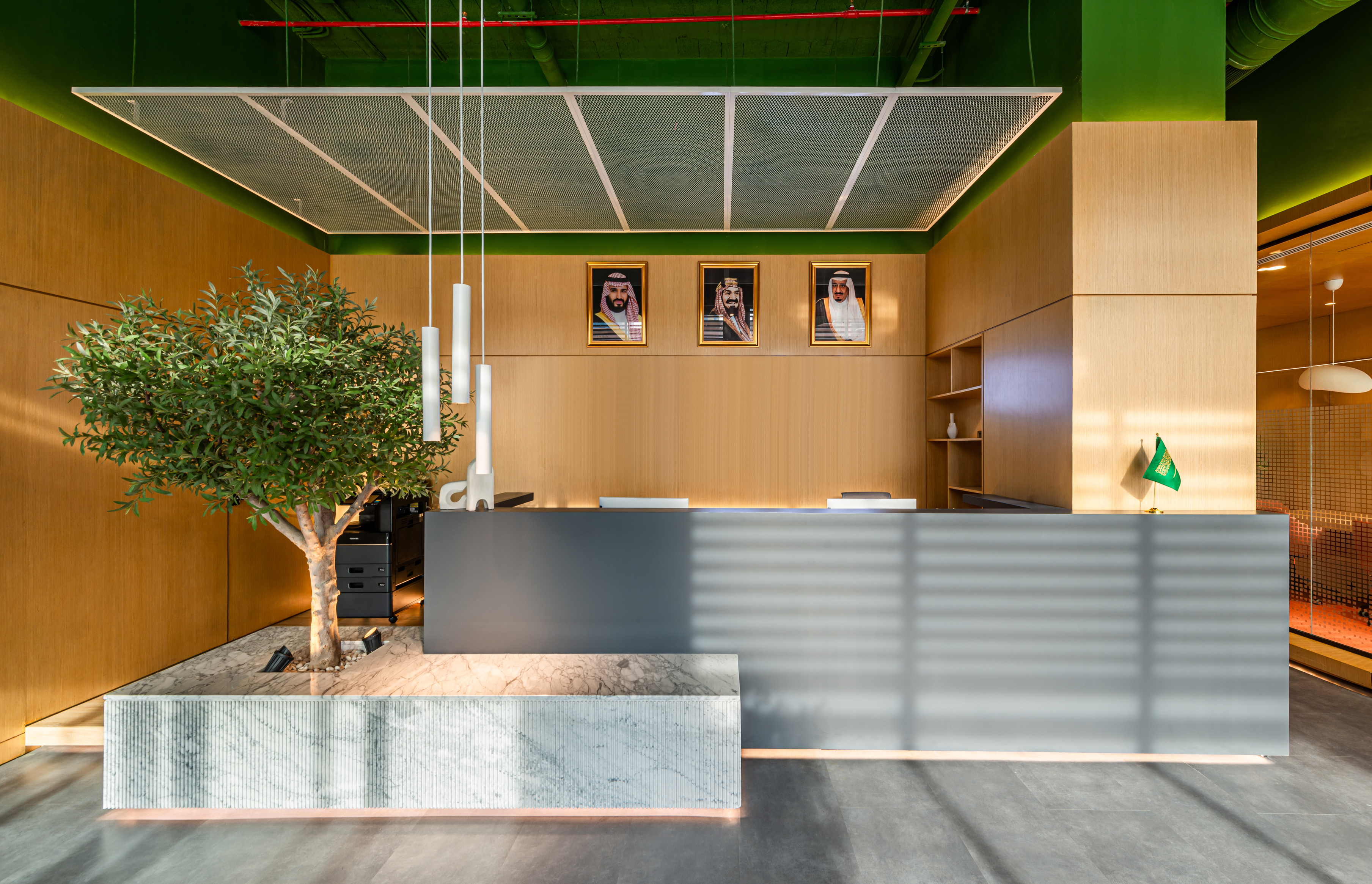 Offices Zone Olaya Branch