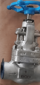 Forged Steel Globe Valve Manufacturer in USA 