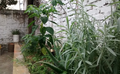 Membresía Membresía