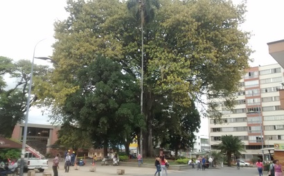 Membresía Membresía