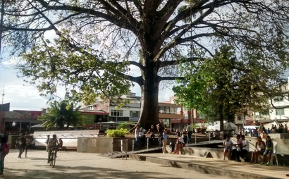 Membresía Membresía