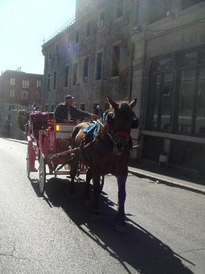 Closed offices to rent in old Montréal * Business Center * Centre D'affaires Closed offices to rent in old Montréal * Business Center * Centre D'affaires