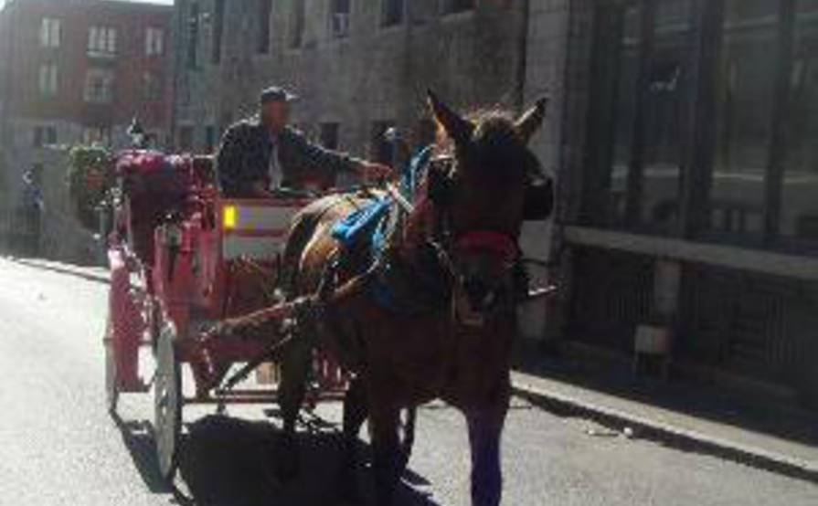 Closed offices to rent in old Montréal * Business Center * Centre D'affaires Closed offices to rent in old Montréal * Business Center * Centre D'affaires