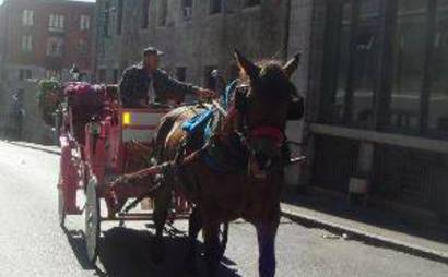 Closed offices to rent in old Montréal * Business Center * Centre D'affaires Closed offices to rent in old Montréal * Business Center * Centre D'affaires