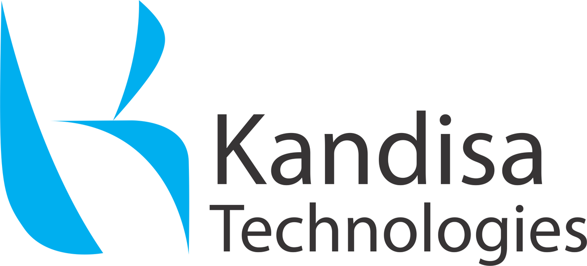 Kandisa Technologies Private Limited Salesforce consulting partners
