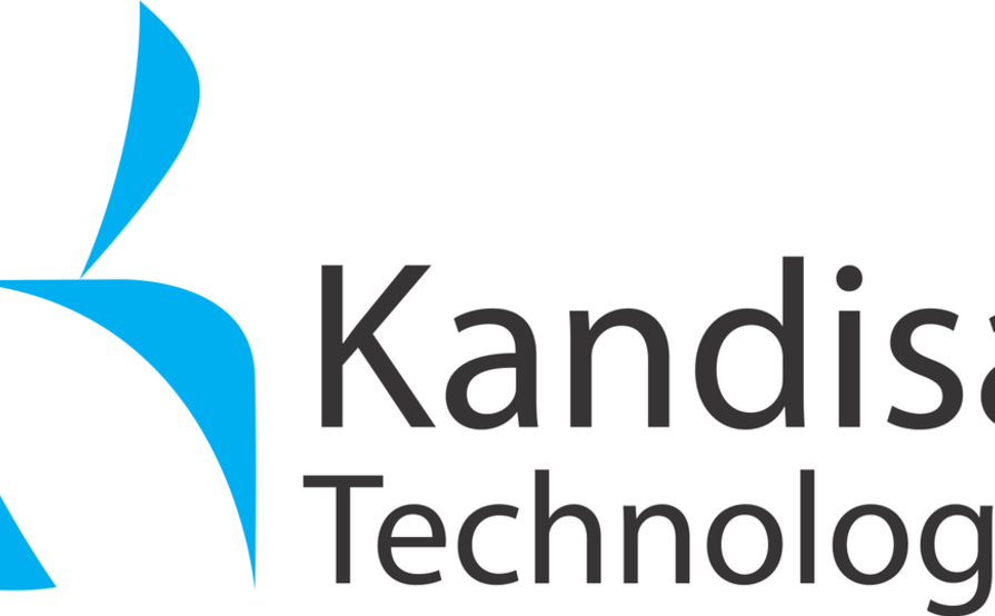 Kandisa Technologies Private Limited Salesforce consulting partners