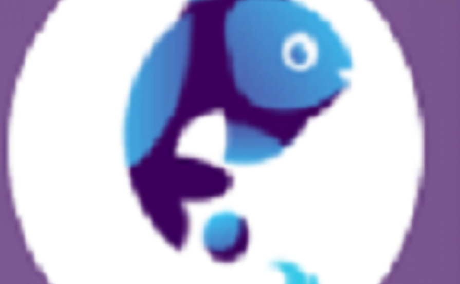 Fish Eye Advertising