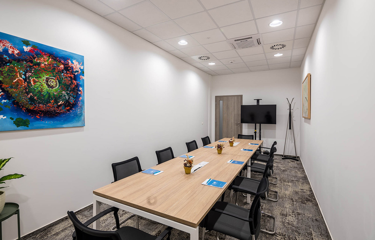 DBH Agora Meeting Room