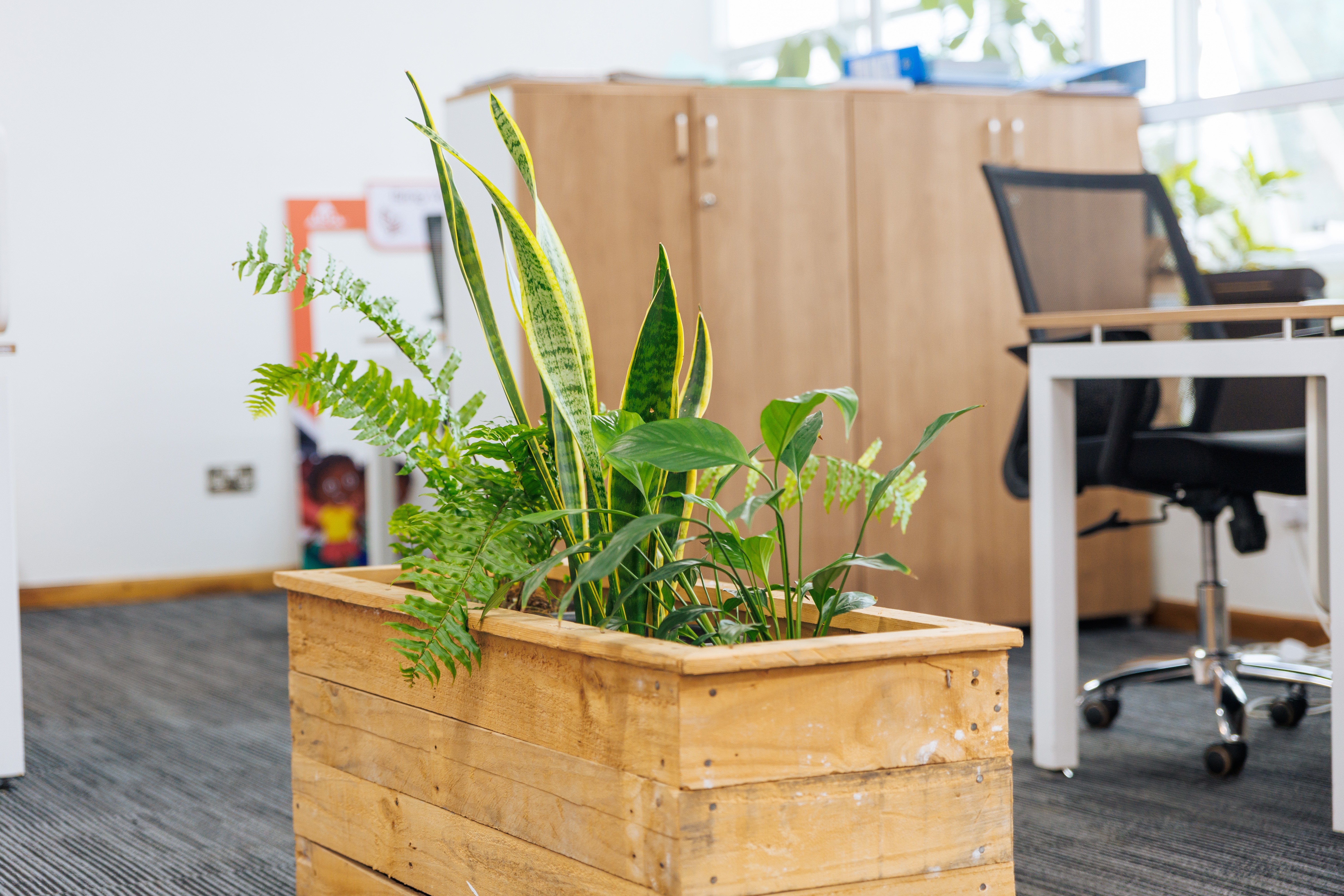 Shiriki House- Westside Towers 