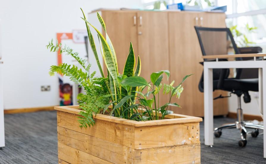 Shiriki House- Westside Towers 