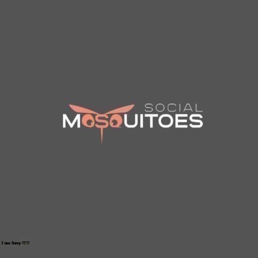 Social Mosquitoes