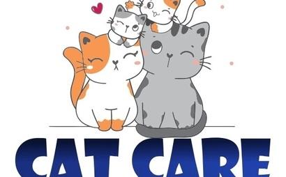 Snazyy Cat Snazyy Cat