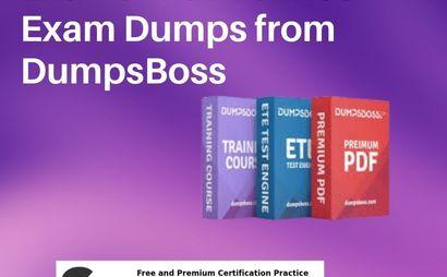 Dumps Boss Dumps Boss