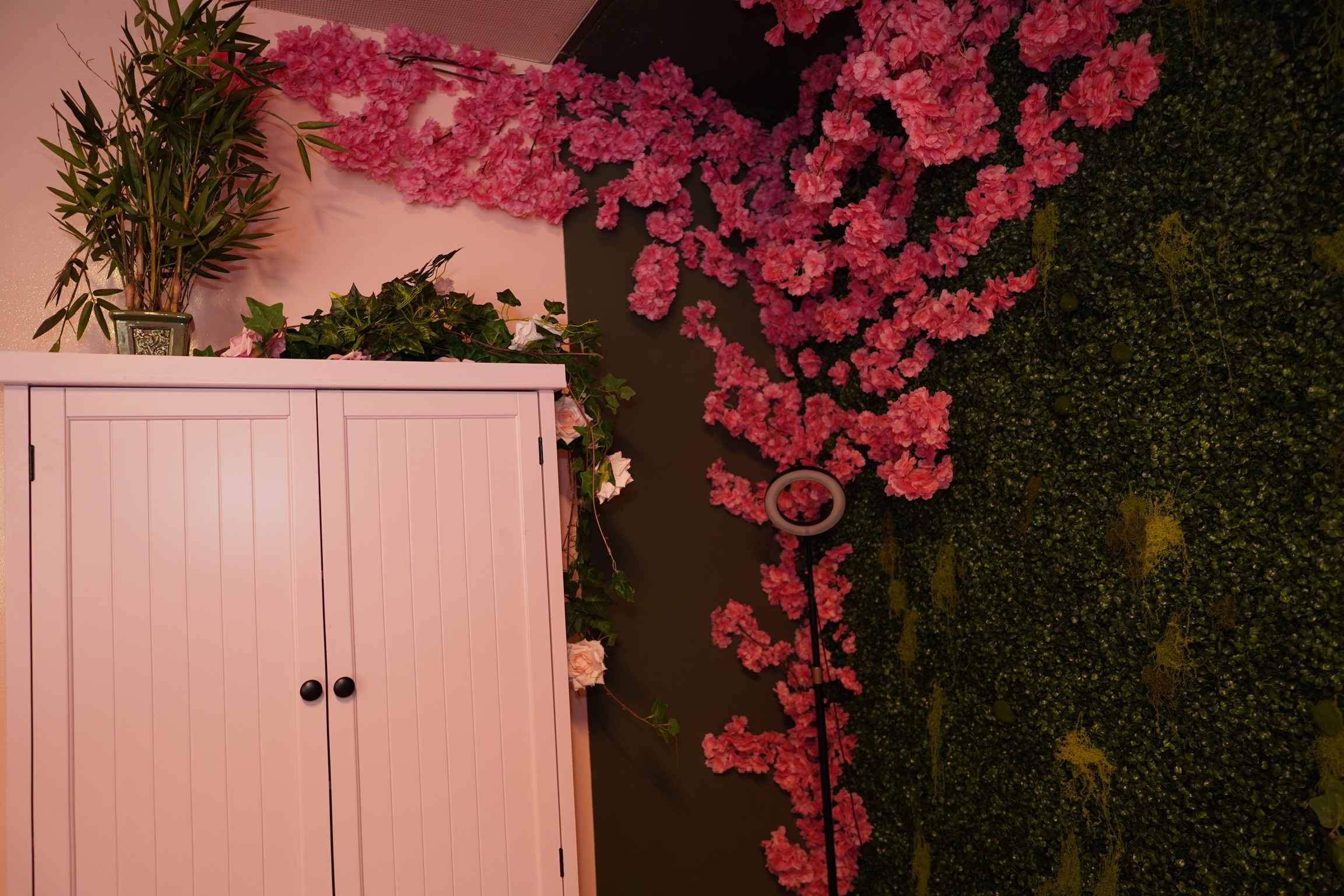 Novadex Data Mechs LLC