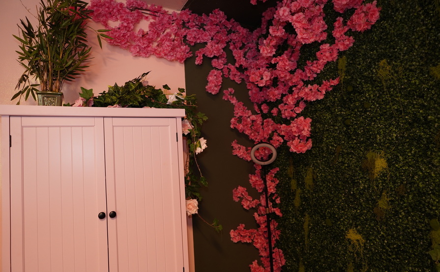 Novadex Data Mechs LLC