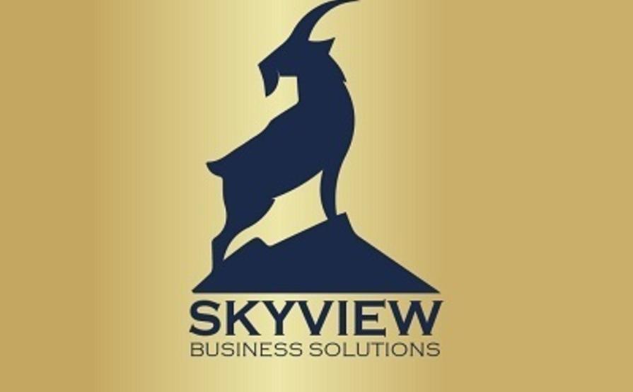 Dental Billing Services in Indiana - Skyview Business Solutions