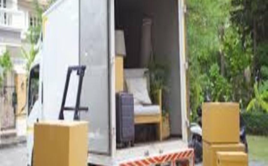 Chamomile Moving LLC