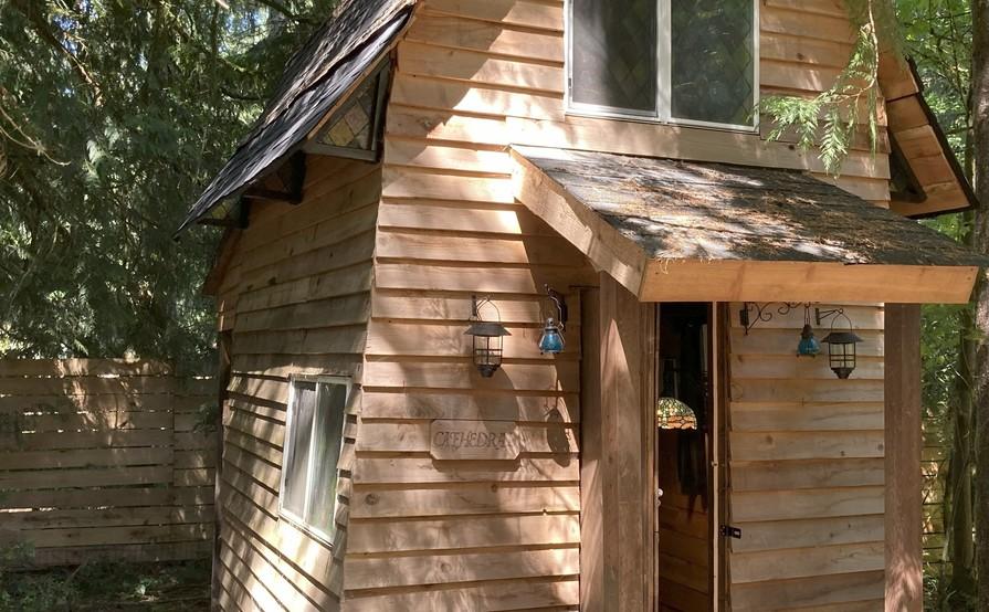 The Forest Cathedral