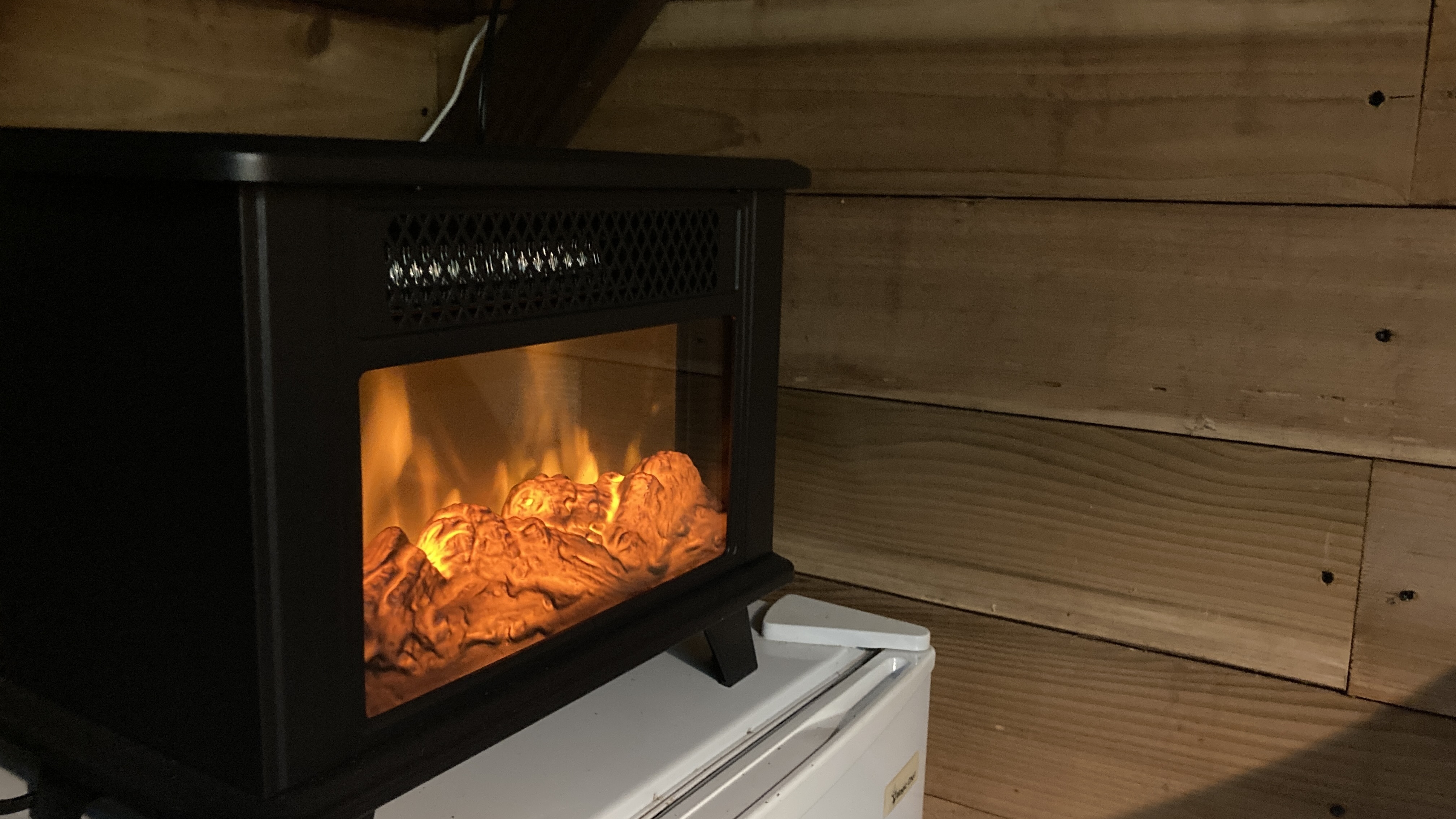 The Forest Cathedral