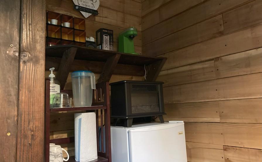 The Forest Cathedral