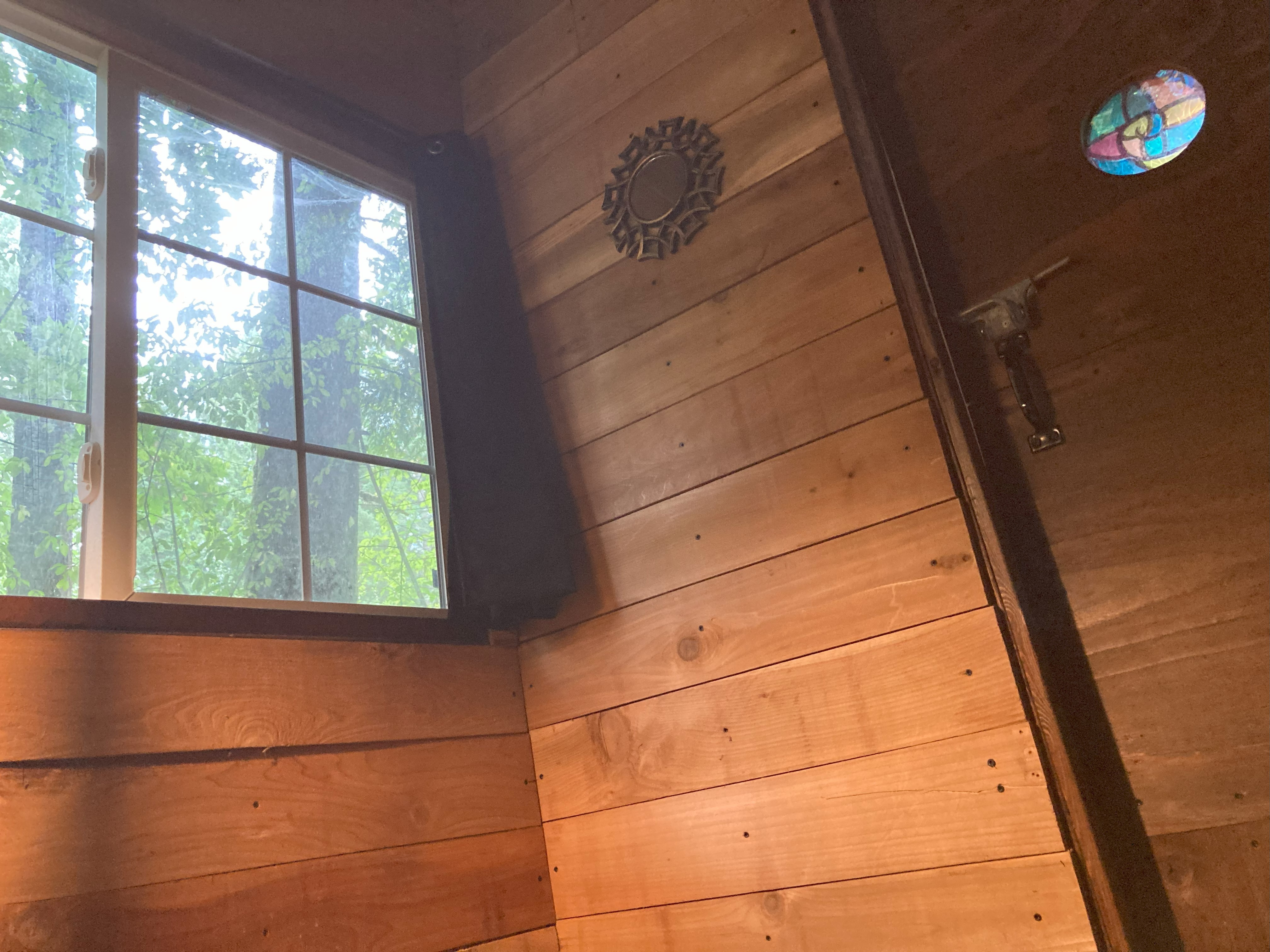 The Forest Cathedral