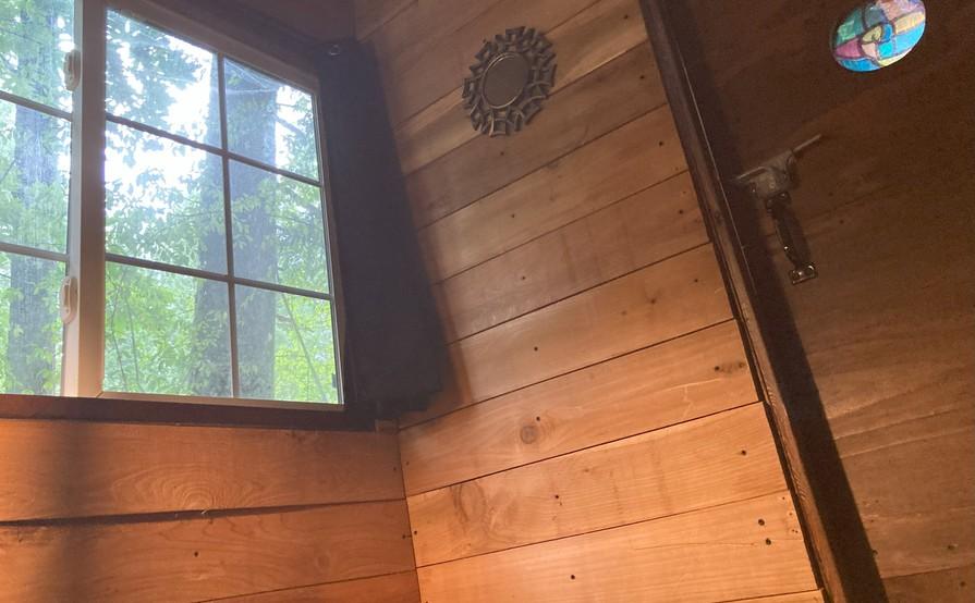 The Forest Cathedral