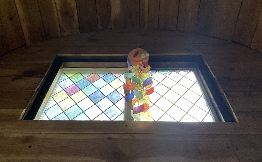 The Forest Cathedral