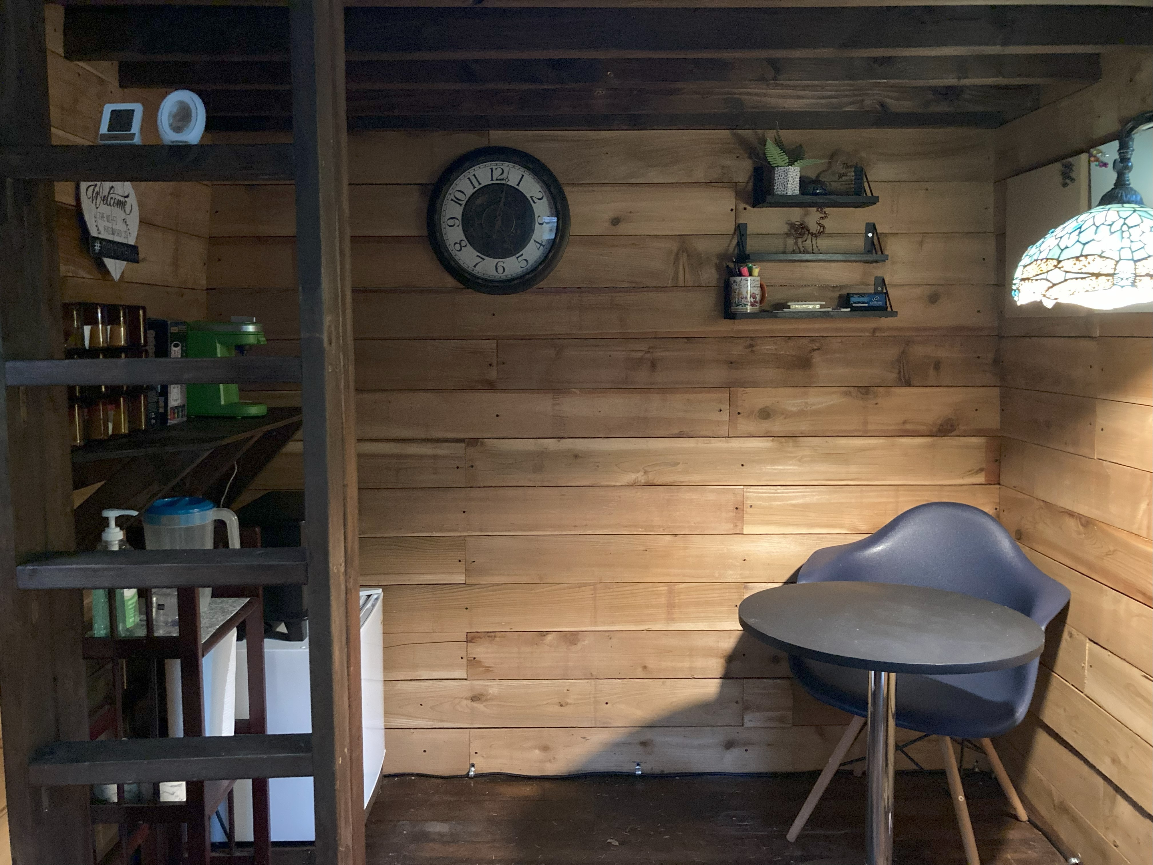 The Forest Cathedral