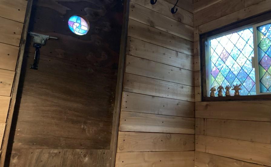 The Forest Cathedral