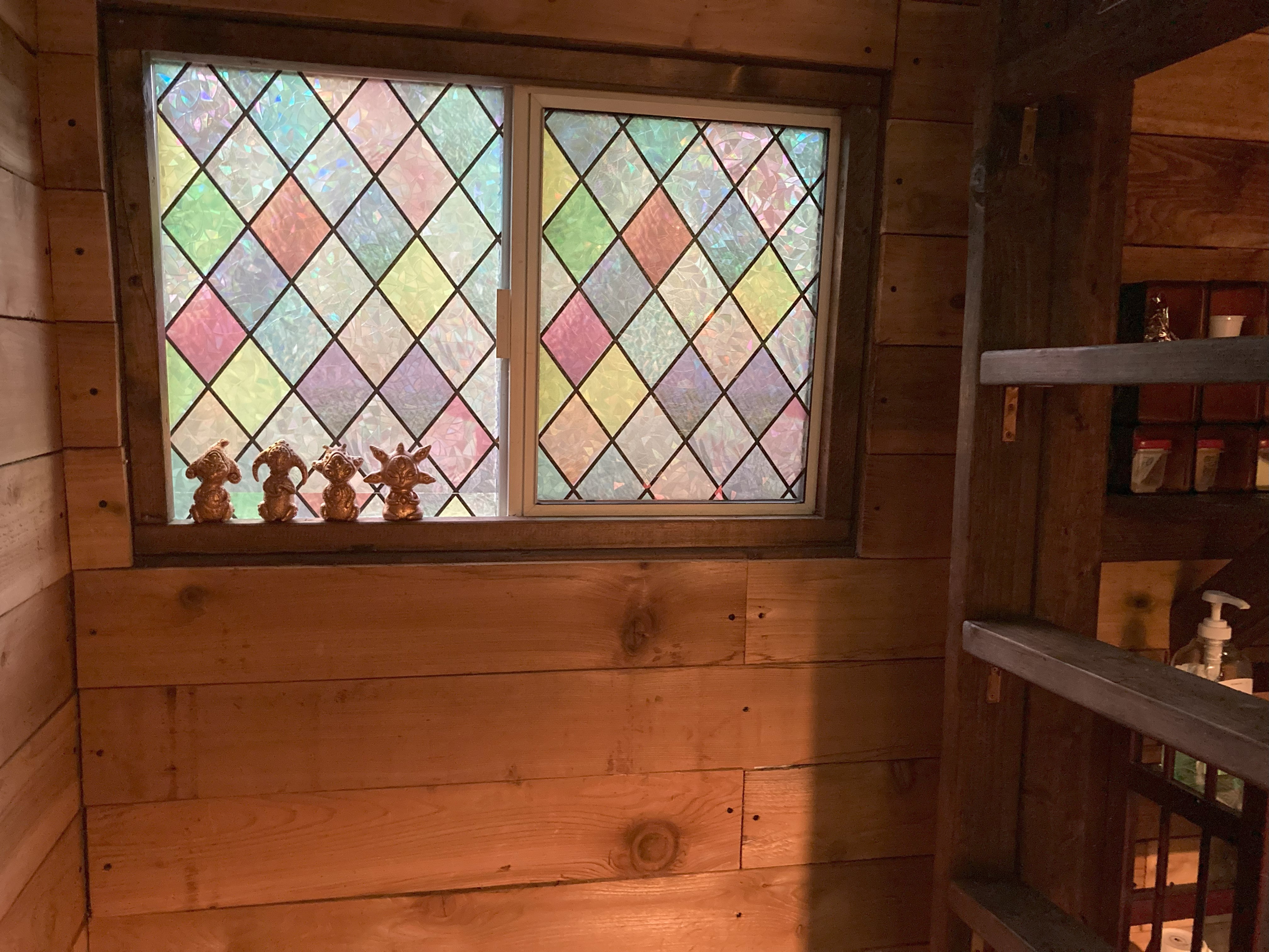 The Forest Cathedral