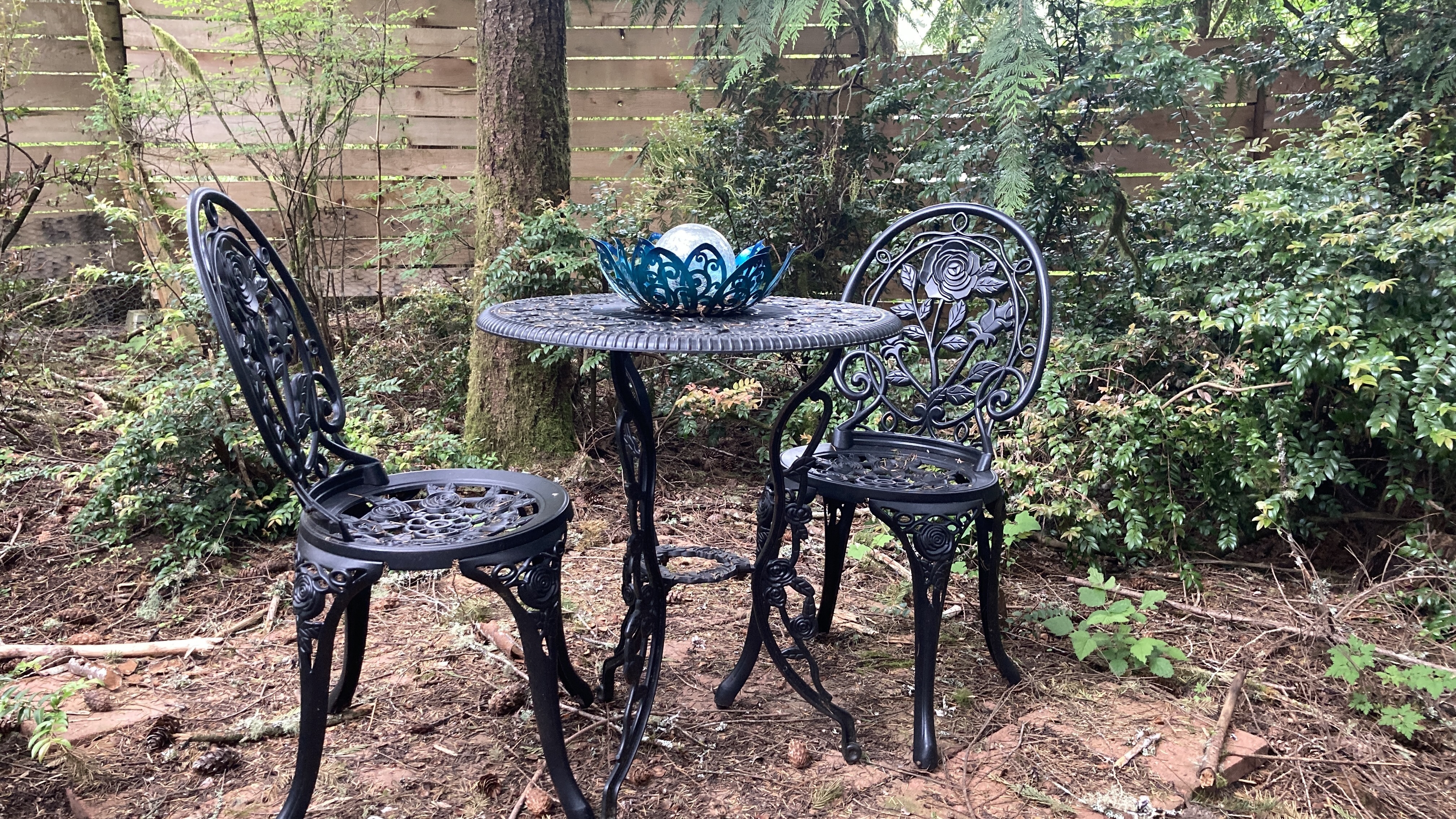 The Forest Cathedral