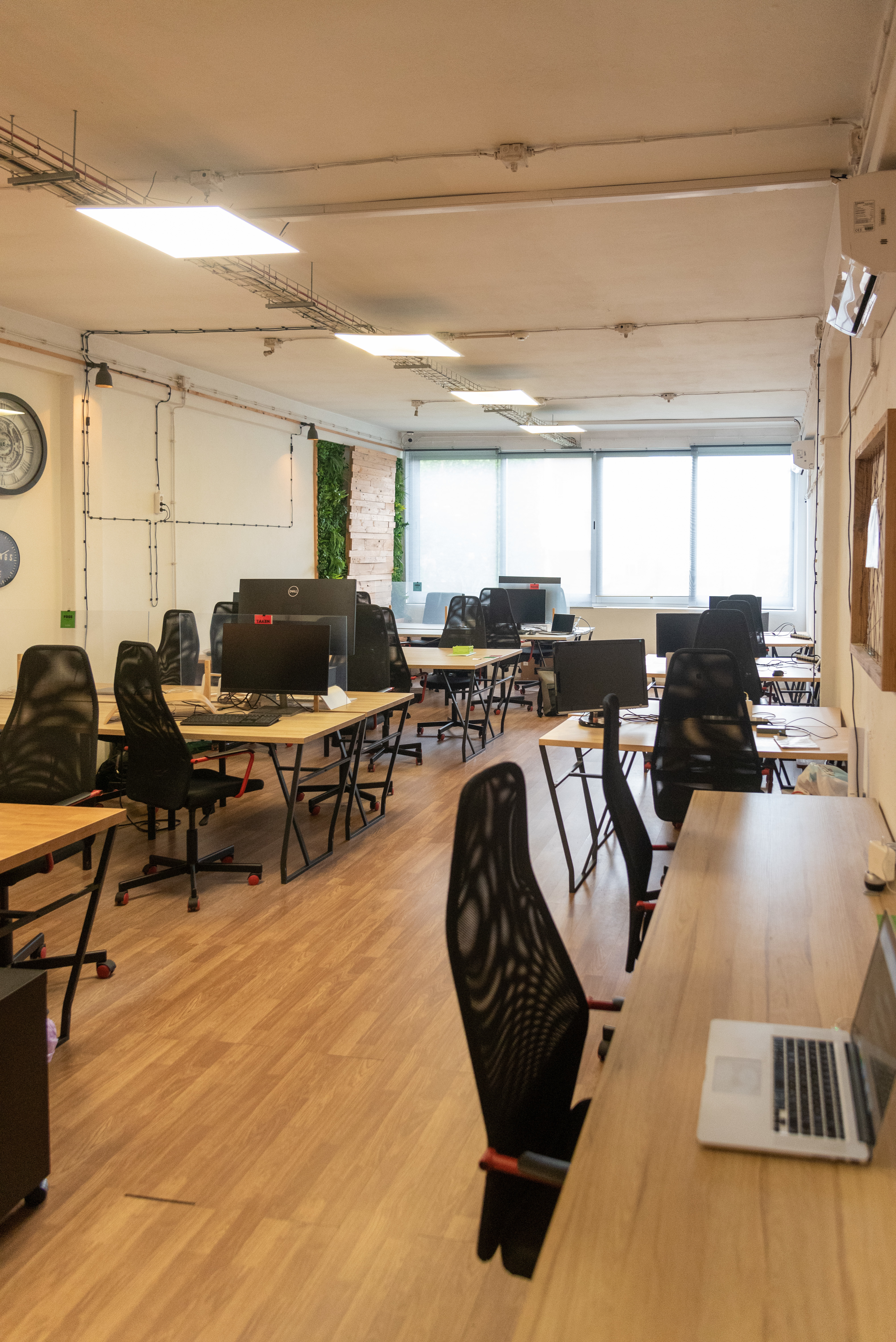Coworking in openspace