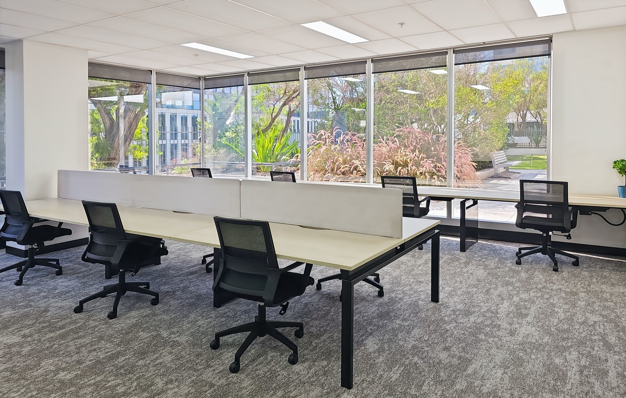 Open plan office space for 10 persons in Signature Parramatta 150 George Street Open plan office space for 10 persons in Signature Parramatta 150 George Street