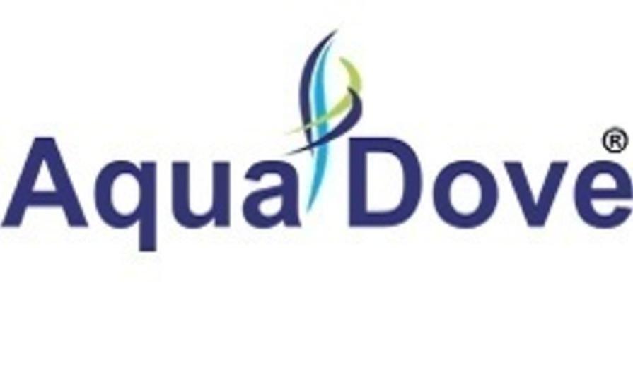 Aqua Dove