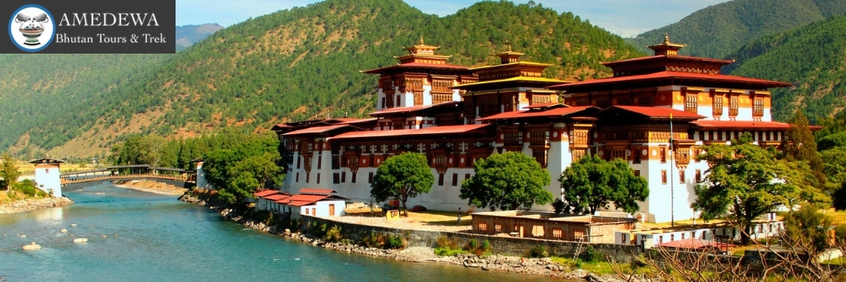 Amedewa Tours & Trek