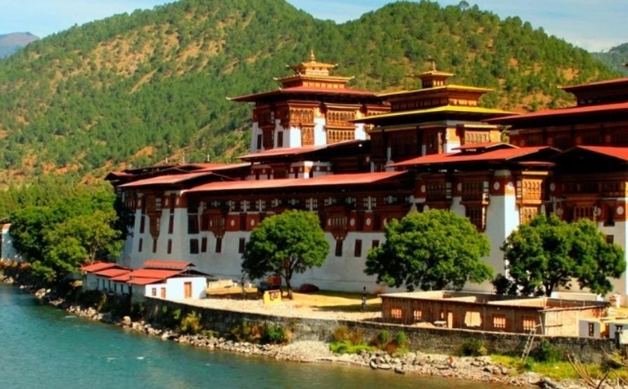 Amedewa Tours & Trek