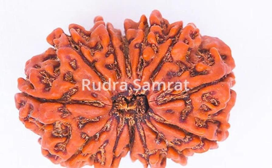 rudrasamrat