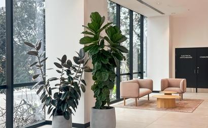 Tailor-made dream offices for 2 persons in Spaces Box Hill Tailor-made dream offices for 2 persons in Spaces Box Hill