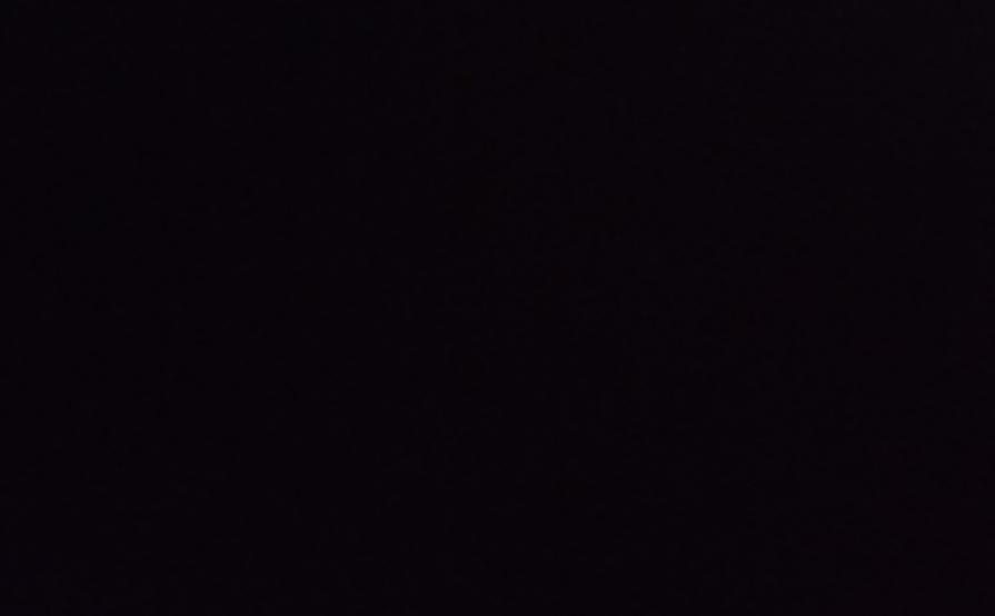 Соединенные Штаты Америки, 