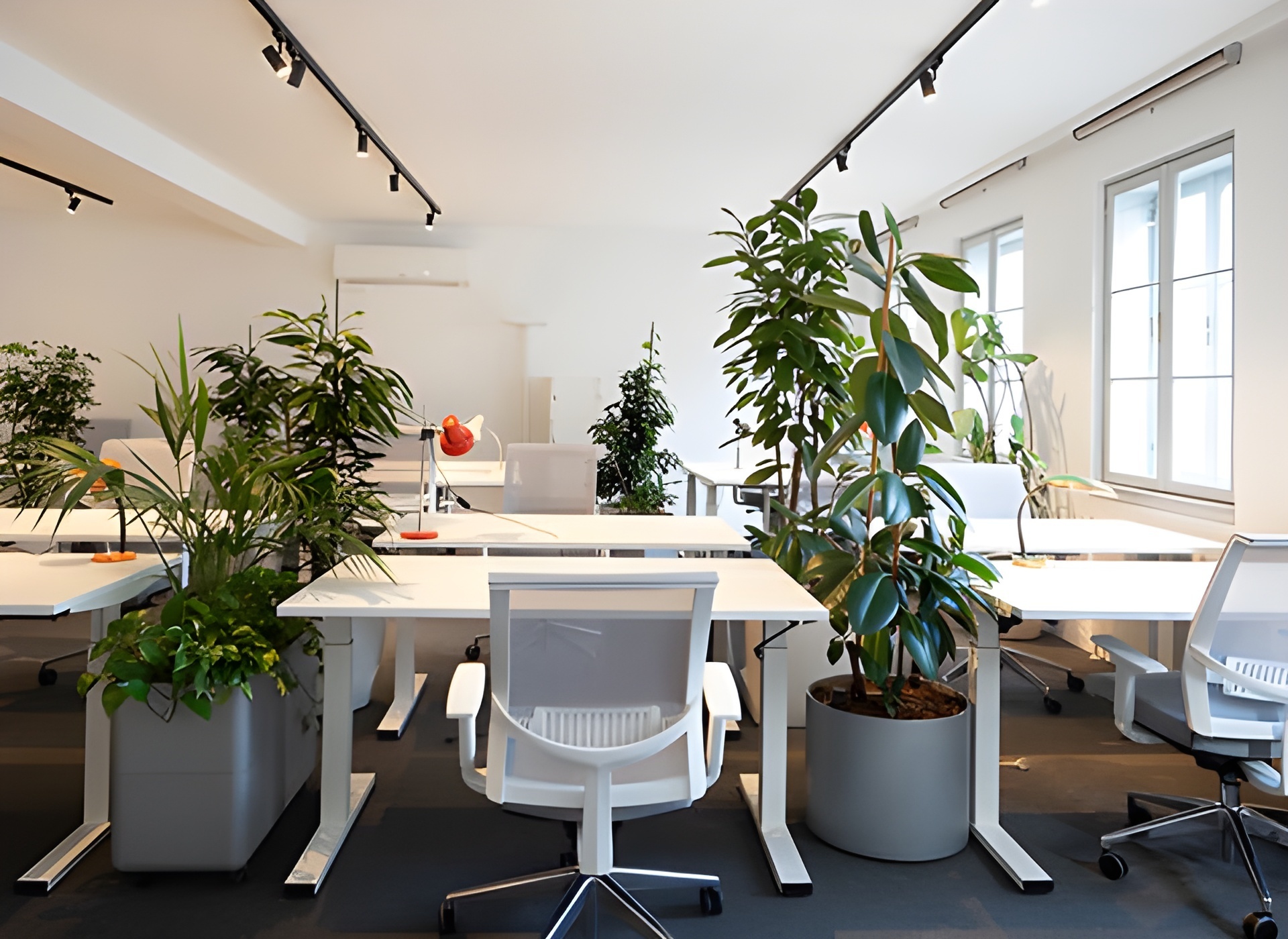 Private Office for 4 at M7 Co-Working — Elegance, Focus, and Flexibility in Vienna’s Ambassador District