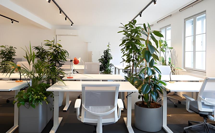 Private Office for 4 at M7 Co-Working — Elegance, Focus, and Flexibility in Vienna’s Ambassador District