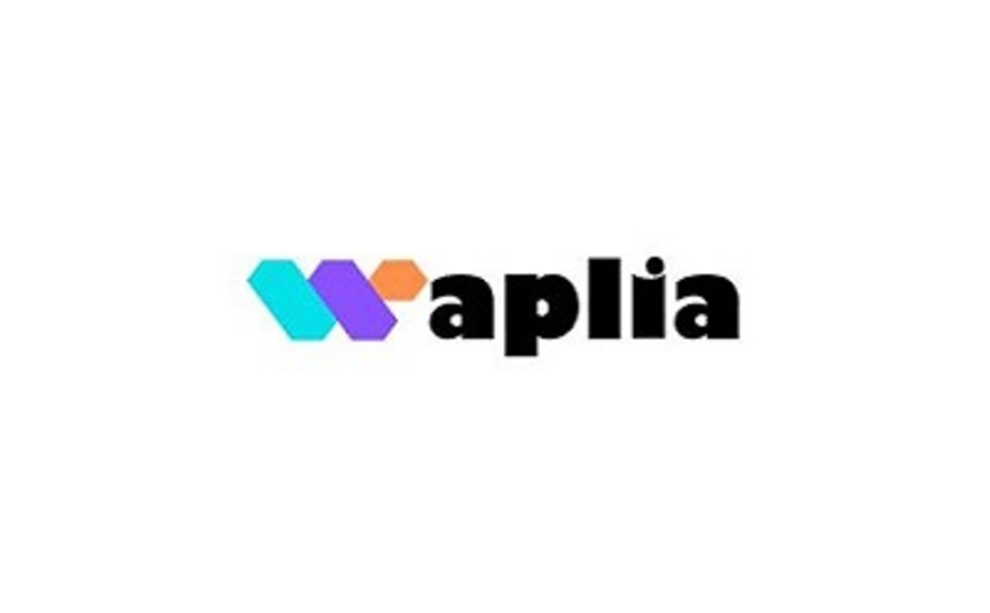 waplia digital solutions