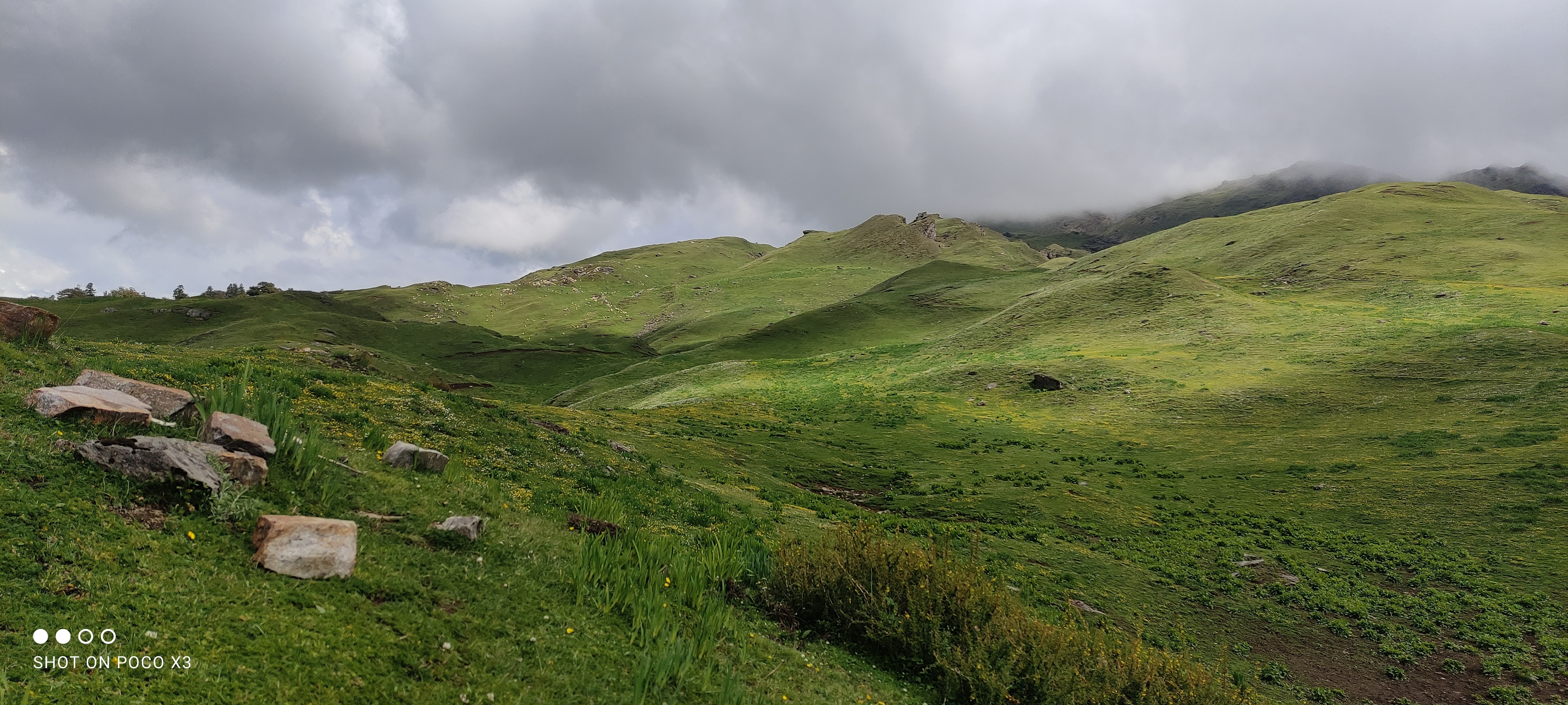 weight loss supplements USA