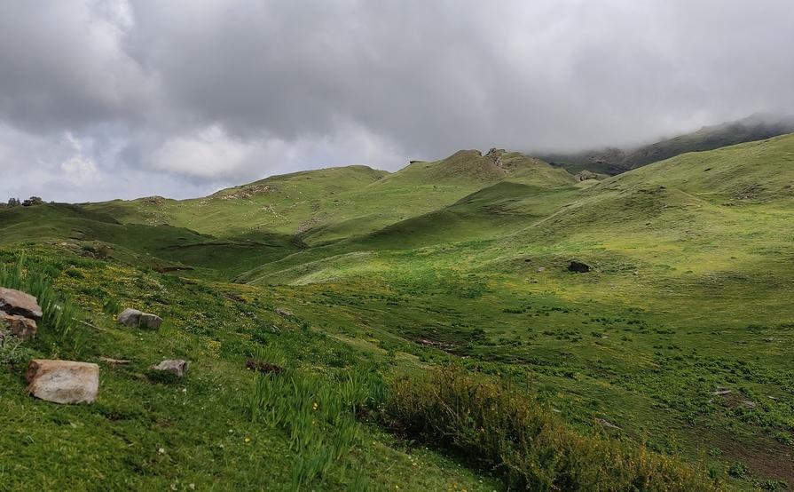 weight loss supplements USA