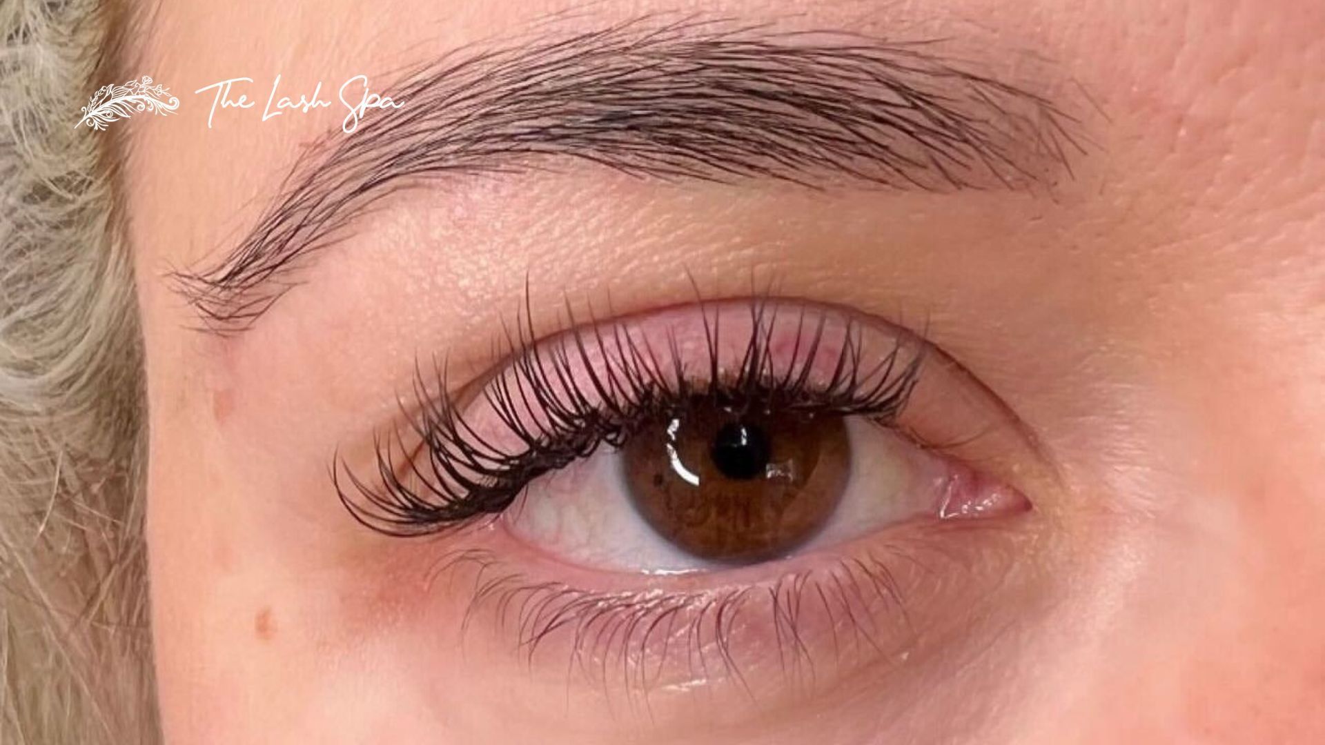 The lash Spa
