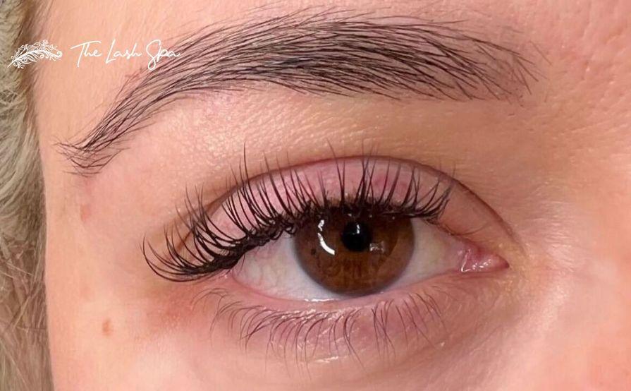 The lash Spa