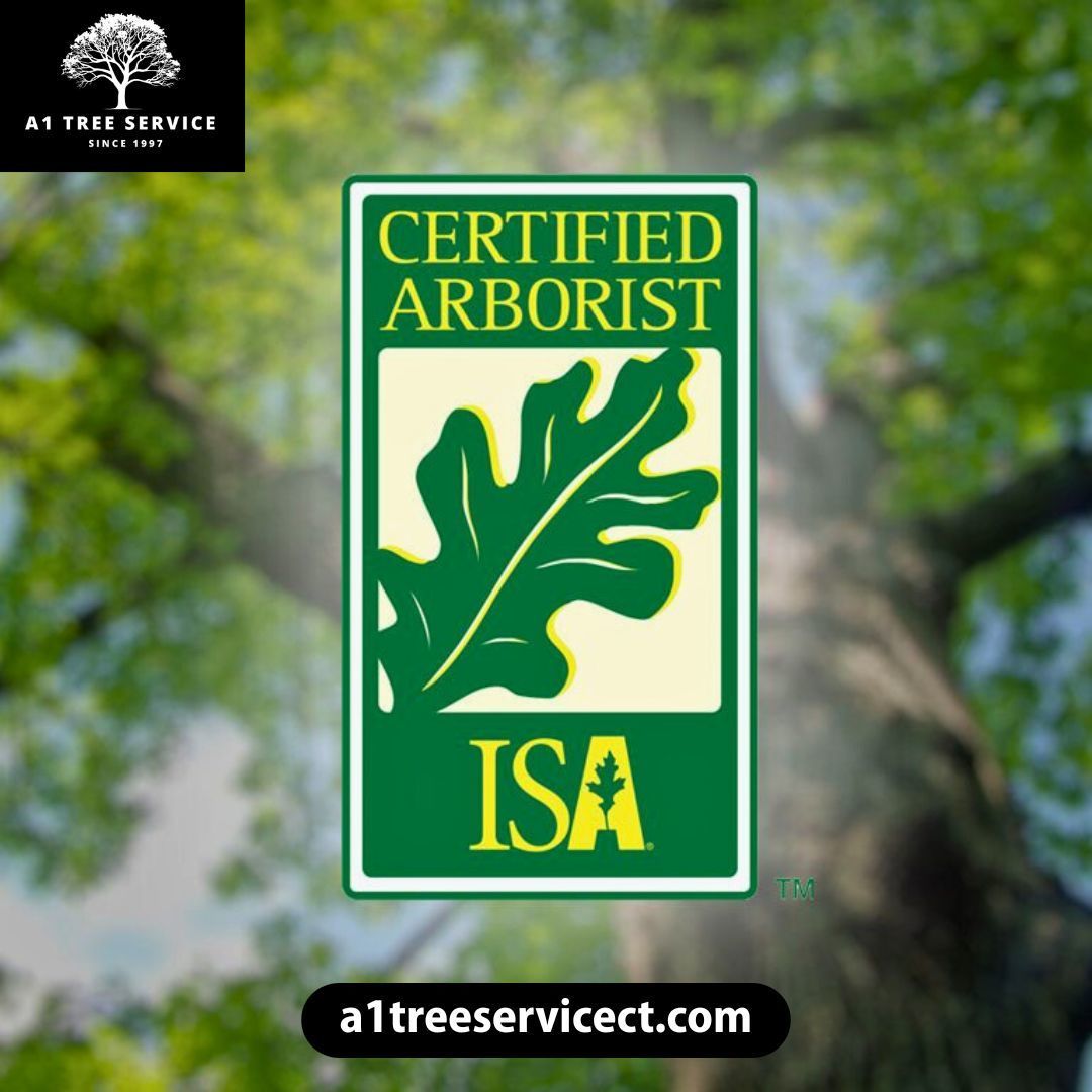 A1 Tree Service