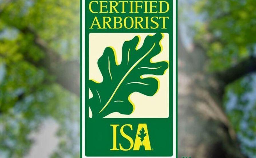 A1 Tree Service